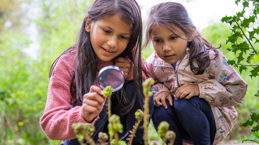 Two children use a magnifying glass in the garden with a fern in the foreground